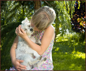 犬との付き合い方を学ぶ方法